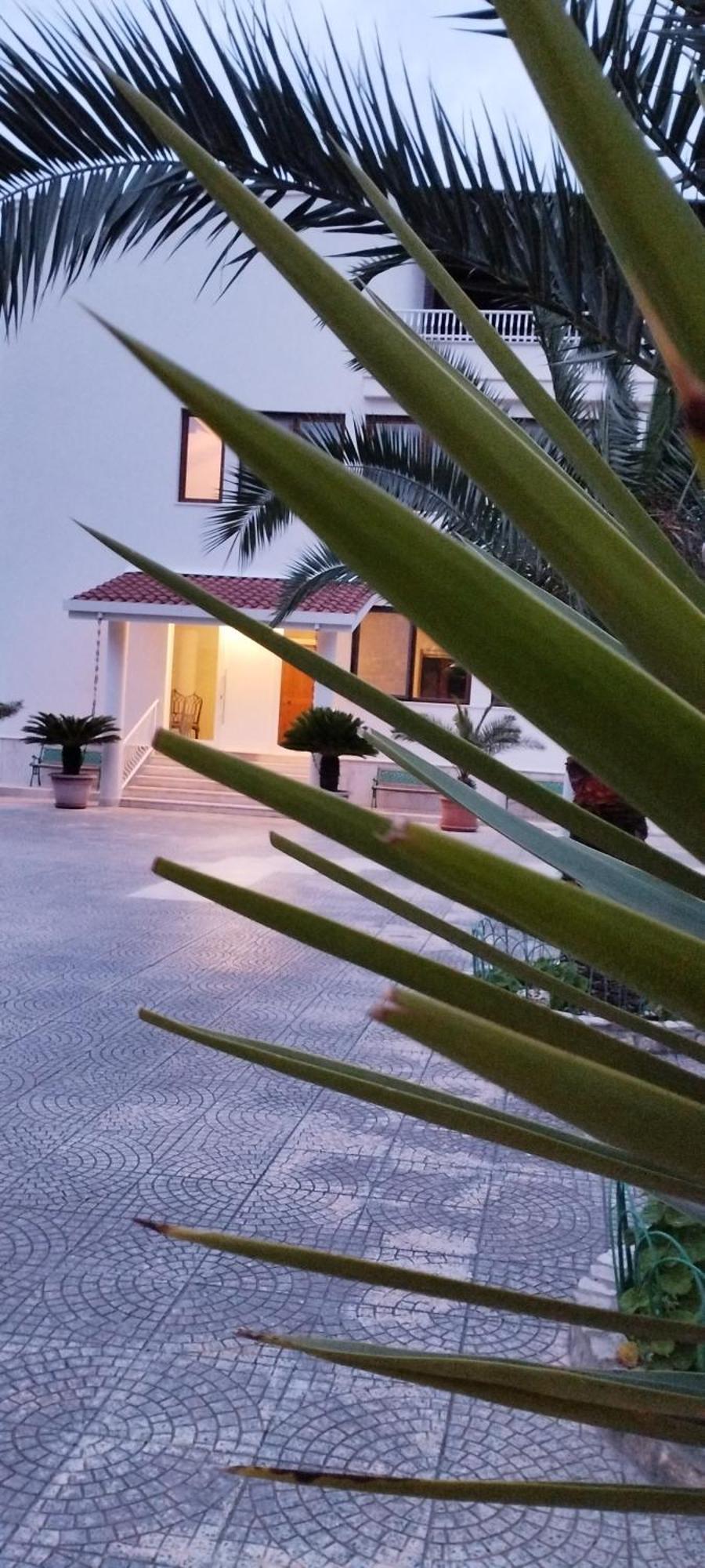 Villa Erry Trani Buitenkant foto